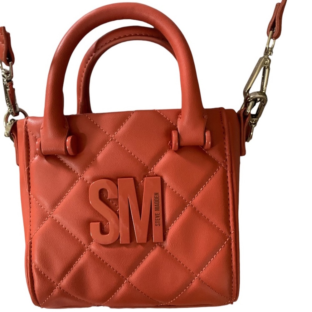 STEVE MADDEN 🎄Bbabi Ginger Crossbody Bag with Guitar Strap & Air Pod Case (NWT) - Picture 7 of 8
